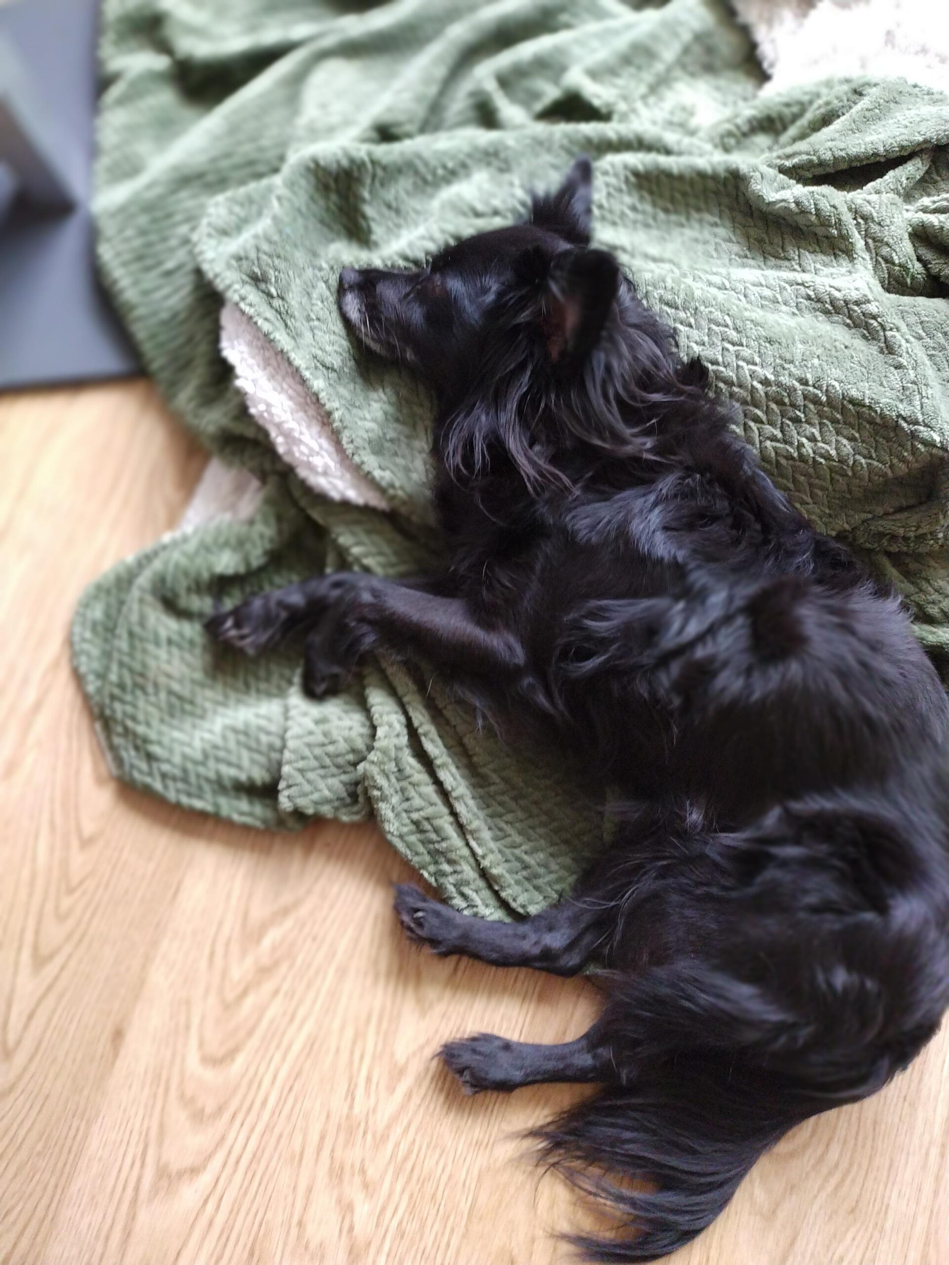 profielafbeelding Dunya